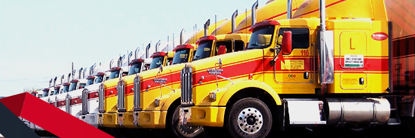 Personal de trasporte capacitado, mlh es es más cercano al recinto fiscal en veracruz, monitoreo 24 horas